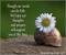 Family Member Sympathy Condolence Message