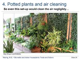 Can indoor plants really purify your home? What Indoor Plants Clean The Air Best None Of Them The Atlantic