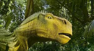 Some Curiosities About Dinosaurs | Yourdinosaurs