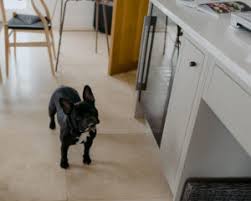 They're very expensive and tend to soak up moisture and react badly to changes in. Kitchen Flooring Ideas To Suit Your Home Kitchen Designers