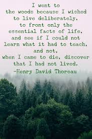 18 Thoreau Quotes Ideas In 2021 Thoreau Quotes Henry David Thoreau Quotes Quotes