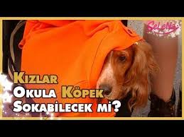 Selena Ceza Olarak Kopek Olursa Youtube