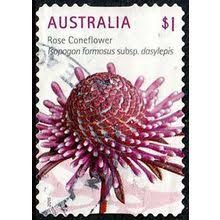 Image result for Dasylepis