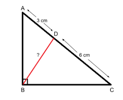 Find The Length Of Altitude Of An Equilateral Triangle If Each Side Is 14  Inches Long. | Homework.Study.Com