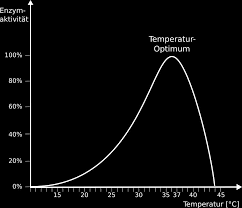 10.000.000 substratmoleküle pro sekunde umsetzen! Kapitel 08 13 Aminosauren Eiweisse Enzyme Und Die Biokatalyse Pdf Free Download