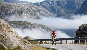 We did not find results for: Norway Bike Experience Bicycle In Hafrsfjord Stavanger Fjord Norway