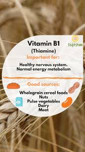 Food sources of thiamine include whole grains, legumes, and some meats and fish. Vitamin B1 Aka Thiamine What Is It Good For And Where Can I Find It