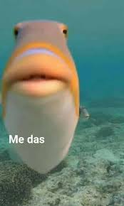 Me Das Meme En 2020 Memes Caras De Memes Imagenes De Risa Memes