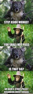 This derivative intends no infringement) Animal Comedy You Shall Not Pass Animal Comedy Animal Comedy Funny Animals Animal Gifs Cheezburger