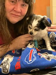 Remembering Baby Choco Mucho, a beloved pet dog