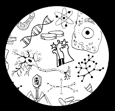 Die mappen für die schule sind ein wichtiges instrument, um alle unterlagen vollständig für das jeweilige fach unterzubringen. Https Www Buckhorn De Wp Content Uploads 2019 02 Schulinternes Curriculum Naturwissenschaften Pdf