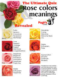 The sunflower is a happy, sunny flower that can represent friendship. National Rose Month What Do The Various Colors Mean Quiz Answers By Pugh S Flowers Pughs Flowers Blog