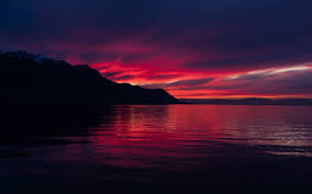 1280x800 4k Dark Sunset 1280x800 Resolution Wallpaper Hd Nature 4k Wallpapers Images Photos And Background Wallpapers, black hd wallpapers for android, wallpaper dark hd, black and white wallpaper hd for mobile, black wall papers, black mobile wallpaper hd, black hd wallpapers for laptop, black colour images hd, beautiful black wallpaper, cool backgrounds hd 3d, 3d wallpaper for pc, 10k wallpaper. 1280x800 4k dark sunset 1280x800