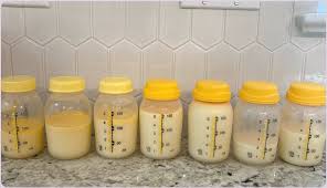 What Is The Difference Between Foremilk And Hindmilk?