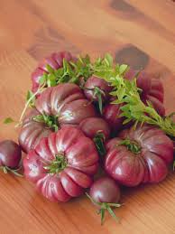 Image result for Solanum terminale