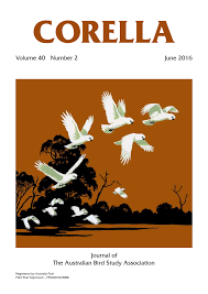 Helping people keep happy healthy parrots since 1997. Composition Of The Fruit Based Diets Used In Pesquet S Parrot Feeding Download Table