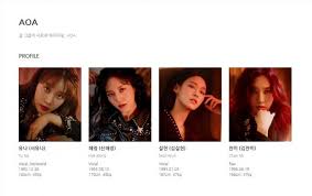 Jimin, yuna, chanmi, hyejeong, seolhyun. Fnc Entertainment Completely Deletes Former Aoa Member Shin Jimin S Profile From Website