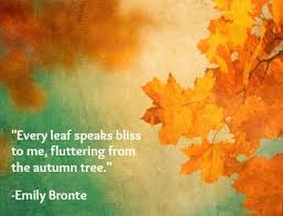 Disney Family Recipes Crafts And Activities Autumn Quotes Wonderful Words Autumn Trees