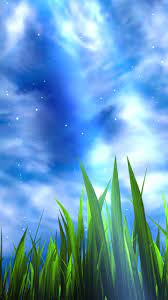 Stock grass live wallpaper android / grass lwp portado a ics por encima del. 3d Grass Live Wallpaper For Android Apk Download