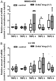 When cancer is in the bone marrow, the body can't make enough healthy blood cells. Expression Of Canonical Transient Receptor Potential Channels In U 2 Os And Mnng Hos Osteosarcoma Cell Lines