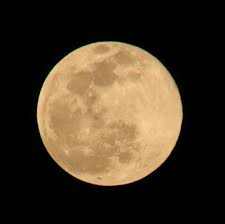 農事暦（the old farmer's almanac）によると、アメリカでは2月の満月を「スノームーン（snow moon／雪月）」と呼ぶようです。「寒さが厳しく大地の多くが . æ¨æ¥ã®æºæã¯ç¶ºéºã§ããã­