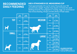 Are You Feeding Your Dog The Right Amount