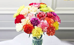 Order beautiful flowers for teacher's day from ferns n petals. Beautiful Flowers To Give On Teacher S Day Best Flowers For Teachers Floweraura