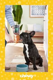 Come explore, read reviews, & shop purina products for your pet at purina sources the majority of their ingredients in the u.s. Purina Pro Plan Veterinary Diets En Gastroenteric Formula Canned Dog Food 13 4 Oz Case Of 12 Chewy Com Purina Pro Plan Purina Canned Dog Food
