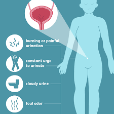 Symptoms typically include needing to urinate often. Urinary Tract Infections Symptoms And Complications