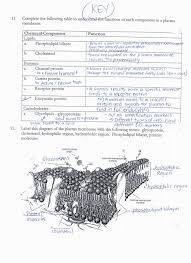 Biology 12 cell membrane transport review worksheet part a. Pin On Coloring Pages