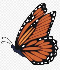 Colorful butterfly isolated on a white background. Monarch Butterfly Clipart Cartoon Monarch Butterfly Flying Png Download 606993 Pikpng