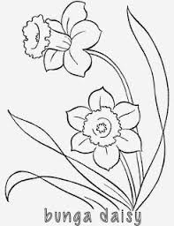 Sketsa ini juga di pakai untuk dapat memaparkan gagasan awal seperti. Lukisan Flora Hitam Putih Cikimm Com