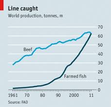 different scales the price of fish