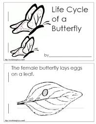 Life Cycle Of A Butterfly Booklet Worksheets Life Cycle Books Life Cycles Butterfly Books