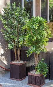 Outdoor plastic artificial plants (100) premium deluxe artificial boxwood hedge (12) shrubs & artificial flowering plants (127) small & medium artificial plants complete in fiberglass decor pot (60) small to medium artificial plants (102) topiary tree's & boxwood balls (12) uv stabilised artificial plants (65) vertical wall garden (42) Outdoor Artificial Plants Exterior Bushes Outdoor Boxwood Balls And Uv Rated Outdo Artificial Plants Outdoor Small Artificial Plants Cheap Artificial Plants