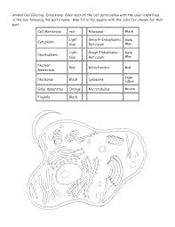 Maybe you would like to learn more about one of these? Animal And Plant Cell Labeling Worksheet Worksheet List