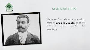 Tribunal Electoral del Estado de Oaxaca