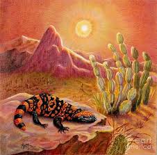 But as you grow as an artist, more tools and materials can help you hone your skills and sty. Gilas Drawings Fine Art America