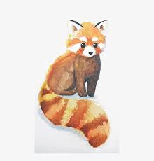 How to draw a red panda face for kids. Svg Library Download Red Panda The Giant Bear Raccoon Cute Drawings Of Red Pandas Full Size Png Download Seekpng