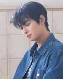 I don't fix printers, haven't for years. And if you ask me to, chances are  you will end up with something like this. I also changed a touch screen  Konica to a