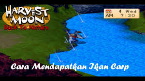 Download harvest moon back to nature bahasa indonesia. Harvest Moon Back To Nature Cara Mendapatkan Ikan Carp Youtube