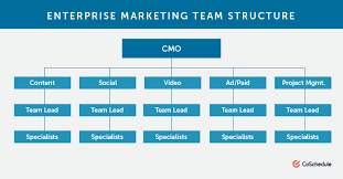 how to structure modern marketing departments for success