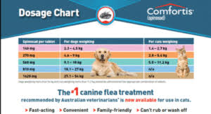 Dogs Fleas And Pet Meds Heartgard Flexpet Comfortis Brandtokyo