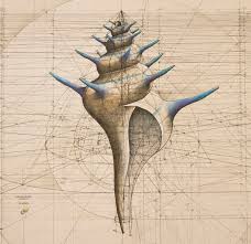 Download Coloring Book Celebrates Mathematical Beauty Of Nature With Hand Drawn Golden Ratio Illustrations