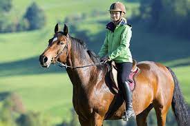 Check out our colt training selection for the very best in unique or custom, handmade pieces from our shops. The 10 Best Horseback Riding Lessons Near Me 2021 Lessons Com