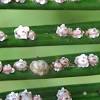 Table of contents how to get rid of cactus fungus things you'll need 00:43 tips & warnings 02:00. 1