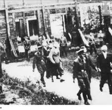 Before world war ii it was a mining settlement of the kladno coal basin and had a population of about 450. Ns Massaker Nicht Die Ss Polizisten Mordeten In Lidice Welt