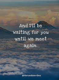 40 Until We Meet Again Quotes After Your Last Goodbye