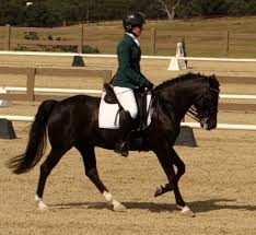 The hsv color space has the following three components. Wait Can You Wear That Color Horse Sage