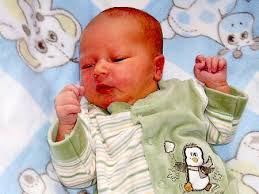 Fotogalerie: Miminka 8. týdne